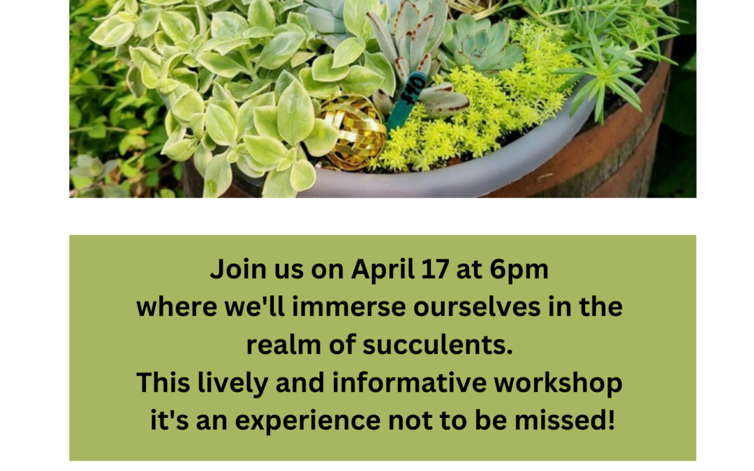 Spring Succulent Workshop April 17th