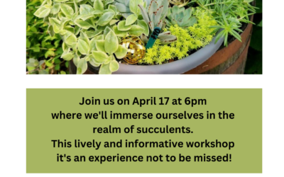 Spring Succulent Workshop April 17th